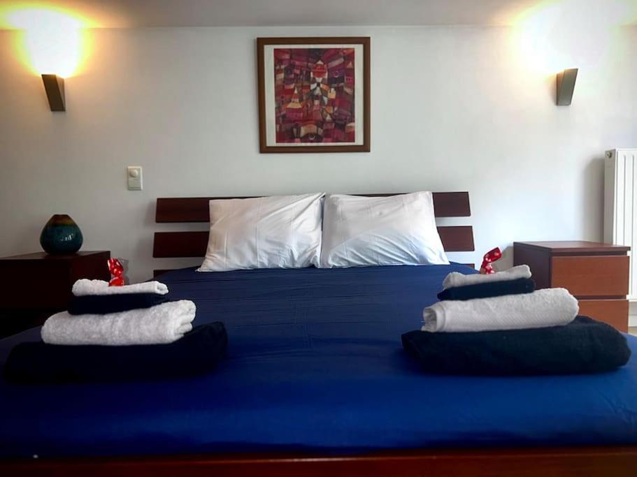Down Town Spacious Duplex With Private Parking & Game Room Bruxelles Eksteriør billede